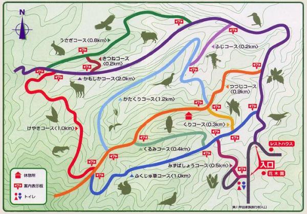 kazoku_forest_map.jpg