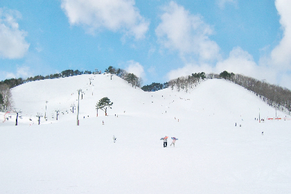 七戸町営スキー場オープン予定日
