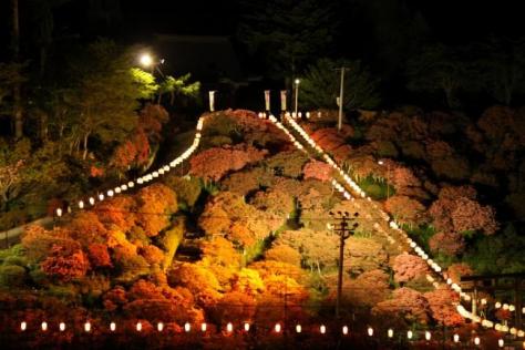 つつじ開花状況2016 ＠天王神社