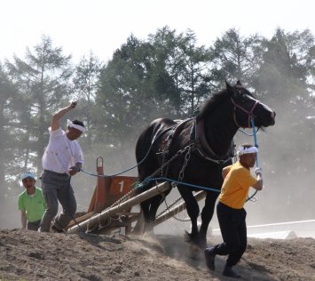 第40回　東北馬力大会「七戸大会」