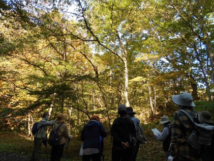 創造の森に親しむ会「11月」のお知らせ