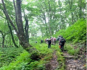 創造の森に親しむ会のお知らせ