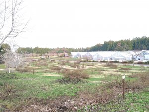 DSC_2208 (1).JPG