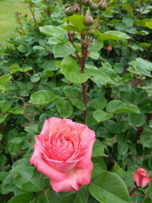 DSC_5569.JPG