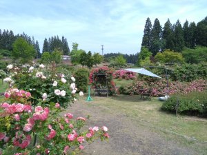 DSC_5773.JPG