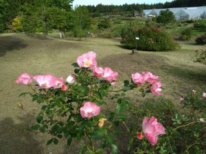 DSC_6634.JPG