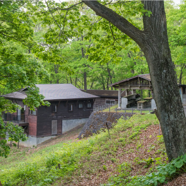 Cabin House