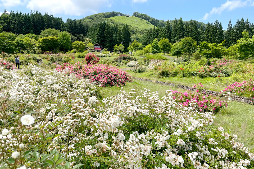 東八甲田ローズカントリー