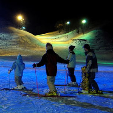 Ski / Snowboard Lesson