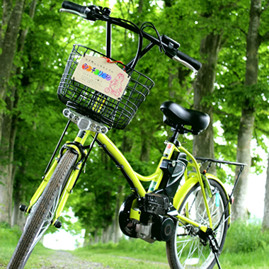 Bicycle Rental