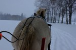 2014雪国ふれあい旅