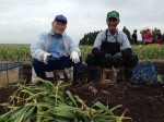 ほ場主の山田さんのにんにく話で盛り上がっています