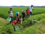 棒で音をたててざるの中へと追い込みます。どんな生き物が見つかるかな？