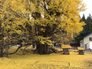 11.10大銀南 (6)