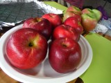 アップルパイには、さっき収穫したグラニースミスと紅玉を使います。